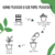 Envelope em papel plantável horizontal (30 unidades) - plante1papel
