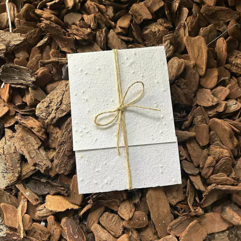 Envelope em papel plantável vertical (30 unidades)