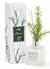 Difusor de Aromas Alecrim 250ml