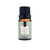 Kit Presente Via Aroma Aromatizador Standard e 2 Essências Bamboo/Lavanda - comprar online
