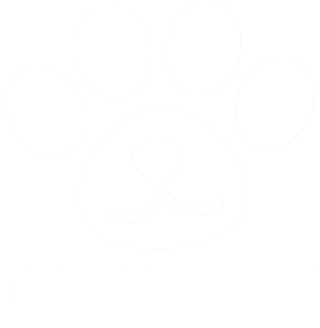 THE PET STORE