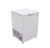 FREEZER 145L FAME