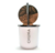 MATE PLASTICO CHUNA en internet