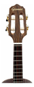 Cavaco Giannini Cadencia Cs8 Pafe Fishman Ng - loja online