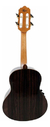 Cavaco Giannini Cadencia Cs8 Pafe Fishman Ng - Ghost Instrumentos Musicais