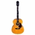 VIOLÃO GIANNINI AUDITORIUM GAD PLUS EQ NG ELETROACUSTICO