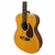 VIOLÃO GIANNINI AUDITORIUM GAD PLUS EQ NG ELETROACUSTICO na internet