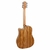 VIOLÃO GIANNINI FOLK GF-1D ZW ZEBRAWOOD CUTAWAY ELETROACUSTICO - comprar online