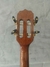 BANJO ROZINI ELETROACUSTICO VERDE - loja online