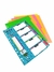 SEPARADOR P/MATERIAS A4 LAMA PVC C/LENGUETA NEON (258-1321)