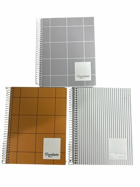 Cuaderno A5 (Triunfante) x 100 hjs.