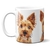 Caneca Cachorro Raça Norwich Terrier