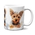 Caneca Cachorro Raça Yorkshire Terrier na internet