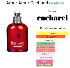 Amor Amor Eau de Parfum – Perfume Feminino – 100ml ORIGINAL - comprar online