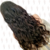 Imagem do WL front lace 13x4 Priscila