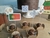 Kit Tema Viagem ao Mundo - PORTUGAL - loja online