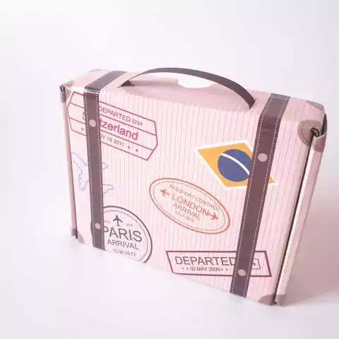 Mala de Papel - Tamanho M - unitário