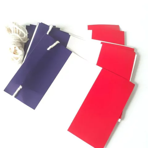 Varal de Bandeiras - Tema Viagem ao Mundo- FRANÇA