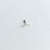Imagem do Piercing Bubble Cluster M