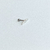 Imagem do Kit piercings bubble