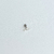 Kit piercings cobra, piercing conch minimalista e piercing bubble - comprar online