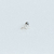 Kit piercings cobra, piercing conch minimalista e piercing bubble