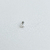 Imagem do Kit Piercing Conch Abaulado e Piercing Coração Despojado