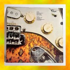 ⚡️LP Rory Gallagher - Against The Grain (Importado alemão) - comprar online