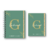 Combo Caderneta de Saúde + Porta Documentos Menino - Clássica 2 Verde Dourado