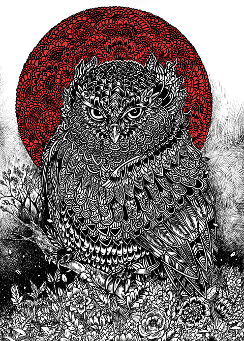 The Owl