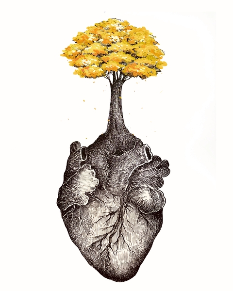Ipê Amarelo
