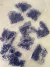 Gomitas Elásticas Azules