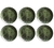 Plato Playo Herbarium x 6