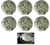 Plato Hondo Herbarium x 6