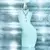 SHAKIRA DANCE DIAMOND EDT en internet