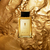 ANTONIO BANDERAS THE SECRET ABSOLU en internet