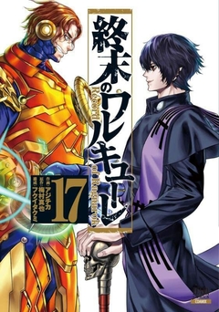 Record of Ragnarok 17