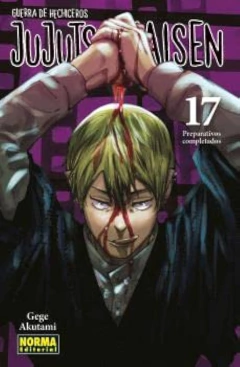 Jujutsu Kaisen 17 Panini