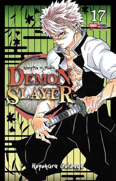 Demon slayer 17 Panini