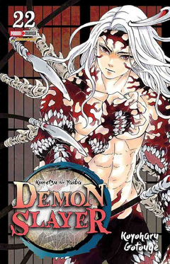 Demon slayer 22 Panini
