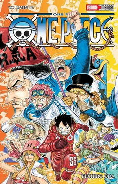 One Piece 107 panini