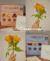 Carrossel 3