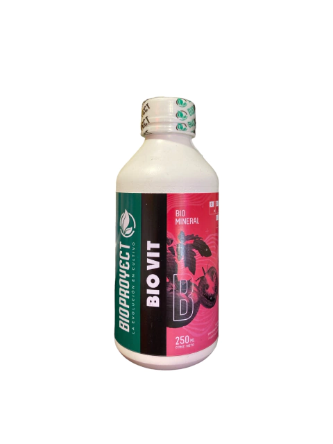 BIO VIT VITAMINAS 250ml BIOPROYECT