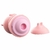 Vibrador de Pulsação - Porquinho USB - comprar online