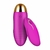Bullet com Controle Remoto - loja online