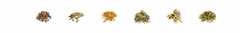 Banner da categoria Chás e Ervas