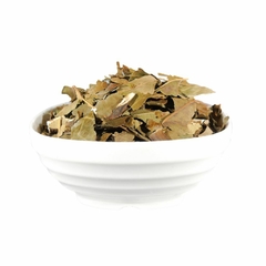ABACATEIRO
