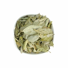 BOLDO DO CHILE - comprar online