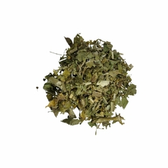 CHAPÉU DE COURO - comprar online