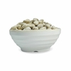 MUCUNA